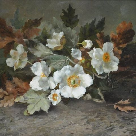 Clara Stenis-Breuer (1871-1935) - Bloemstilleven met Japanse anemonen