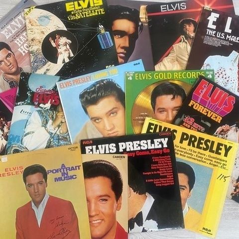 Elvis Presley 14 LP Vinyl Lot - Huge Elvis Collection Including Double LP's - LP