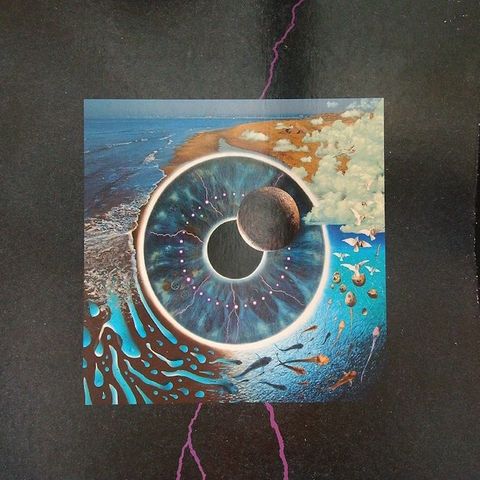 Pink Floyd - Pulse (Europe 1995 4LP-Boxset + Book) - Boks sett - 1995