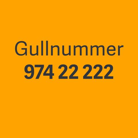 Gullnummer 974 22 222 selges