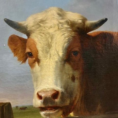 Eugène Joseph Verboeckhoven (1798/99-1881) - Cow’s Face