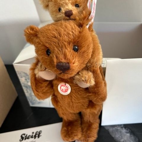 Steiff - Teddybjørn Vader und Sohn - 2000-2010 - Tyskland