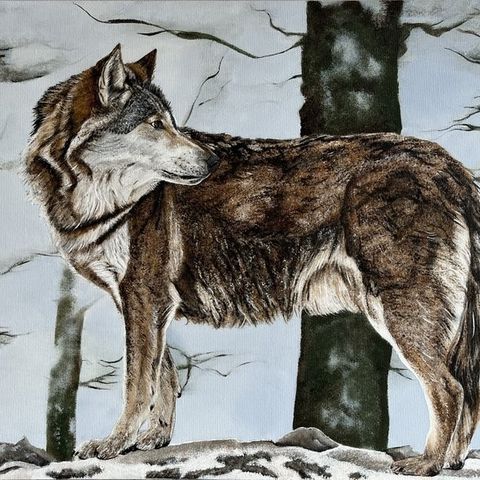 Miranda Assink (1970) - Wolf