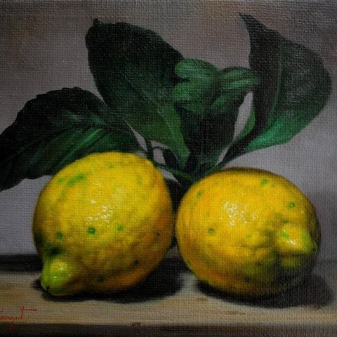 Giuseppe Cacciapuoti (1969) - Limoni