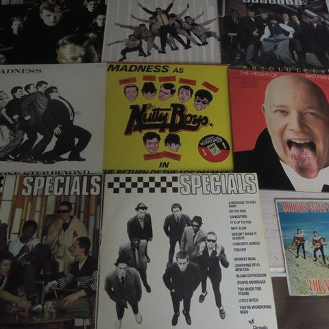 Madness, Specials - Nice lot with 9 records of great Ska Artists - Flere titler 