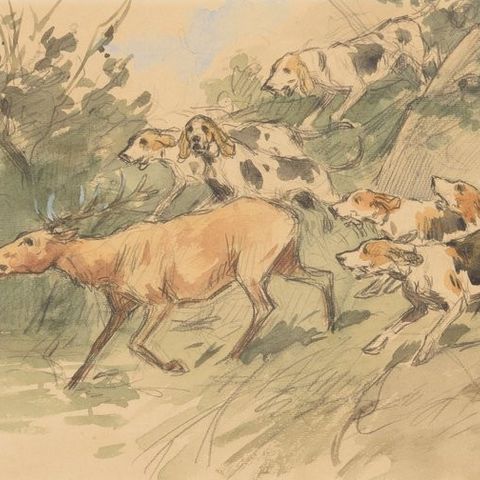 Georges Frédéric Rötig (1873-1961) - Hunting dogs on the trail of a deer