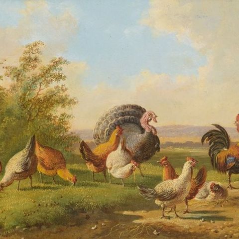 Albertus Verhoesen (1806-1881) - Chickens a rooster and a turkey