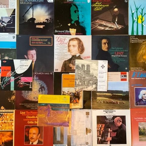 Franz Liszt 1 x Double LP 22 LP - Flere titler - LP-album (flere elementer) - 19