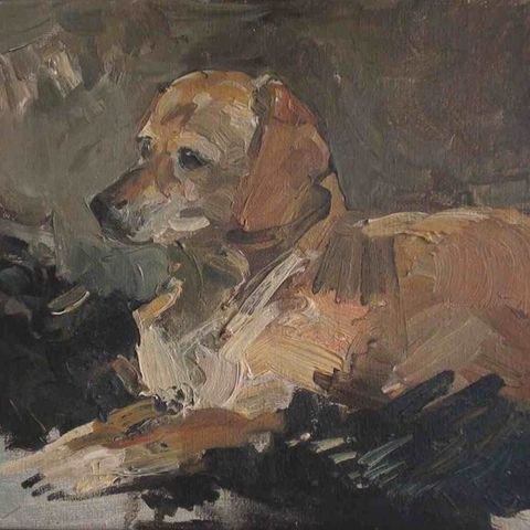 Natalia Dik (1961) - Jonge spaniel / Young cocker