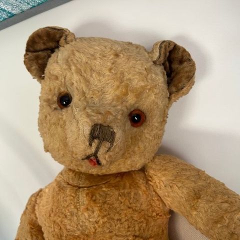 Pintel - Teddybjørn Pintel ancien - 1920-1930 - Frankrike