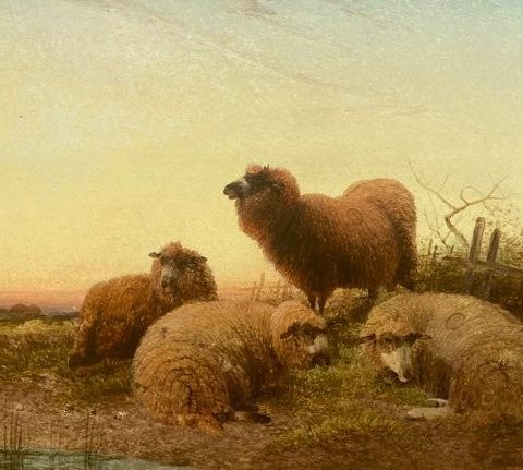 Karl Walter (1868-1949) - Schapen in landschap