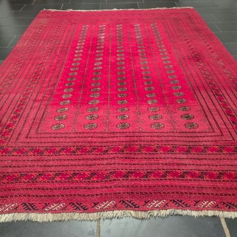 afghanske Mauri - Teppe - 310 cm - 235 cm