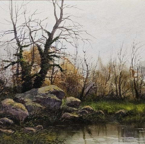 Juan Francisco Vidaller Novellón (1925) - Paisaje de Bosque