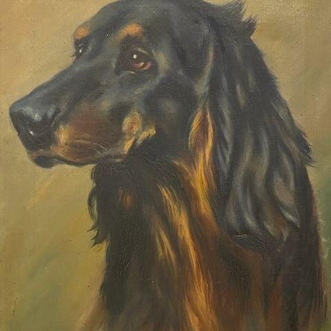 Maurice Wiliquet (1913-1991) - Gordon Setter