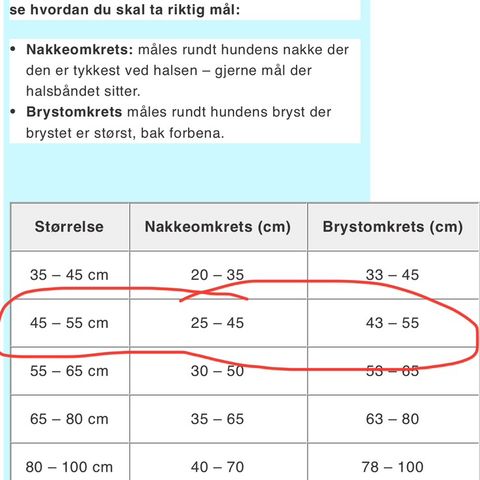 Annonsebilde