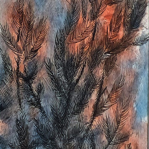 Annonsebilde
