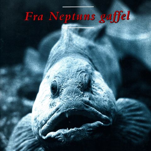 Annonsebilde