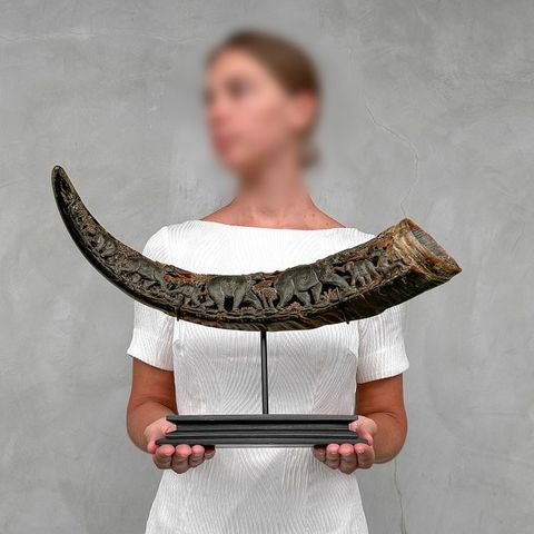 Annonsebilde