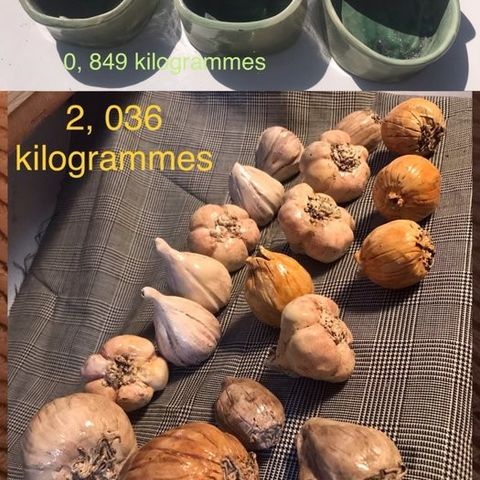 Annonsebilde