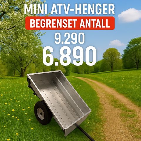 Annonsebilde