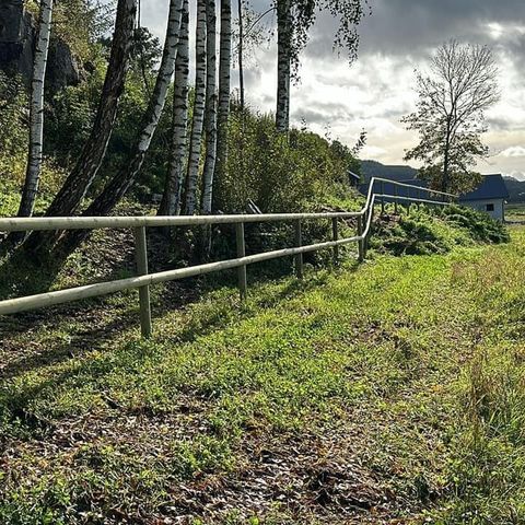 Annonsebilde