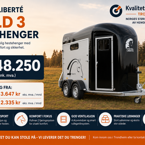 Annonsebilde