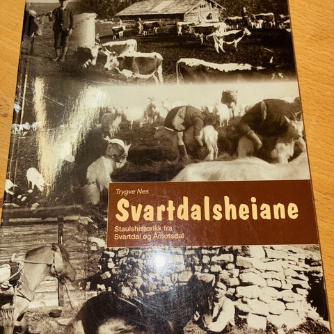 Annonsebilde