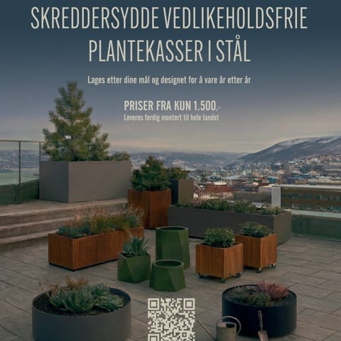 Annonsebilde