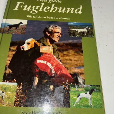Annonsebilde