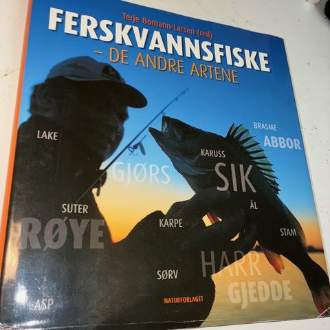 Annonsebilde