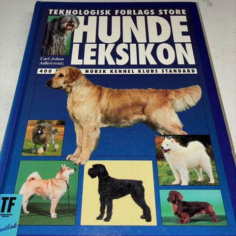 Annonsebilde
