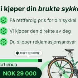 Annonsebilde