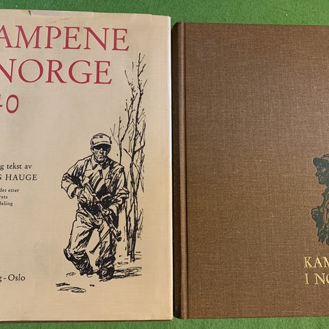 Annonsebilde