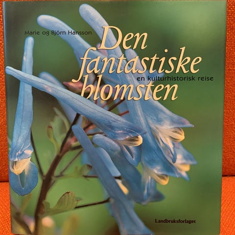 Annonsebilde