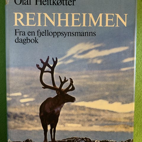 Annonsebilde