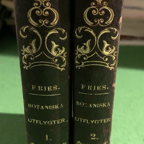 Annonsebilde