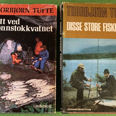 Annonsebilde