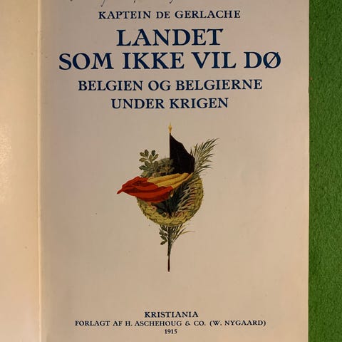 Annonsebilde