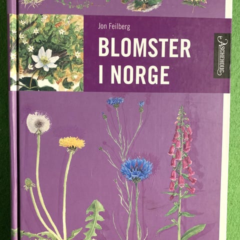 Annonsebilde