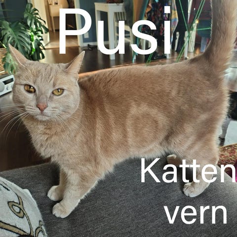 Annonsebilde