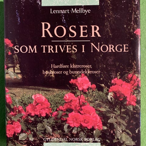 Annonsebilde