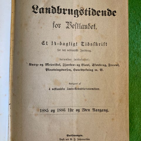 Annonsebilde
