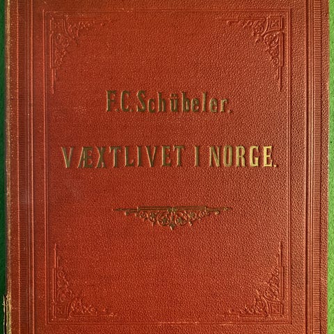 Annonsebilde