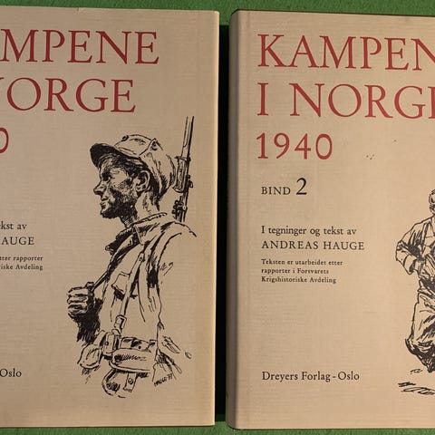 Annonsebilde