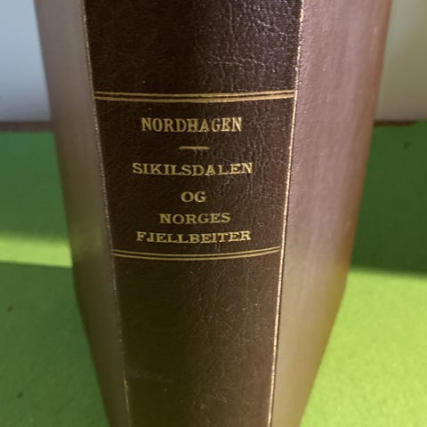 Annonsebilde