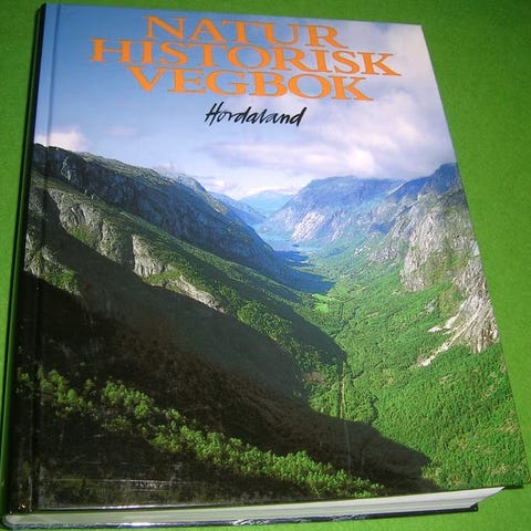 Annonsebilde
