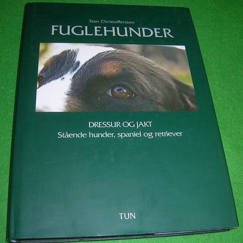 Annonsebilde