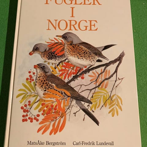 Annonsebilde