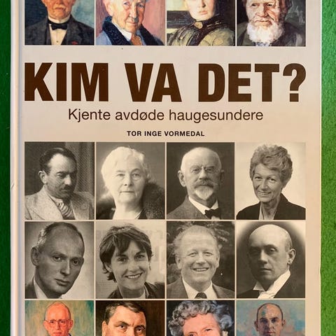 Annonsebilde