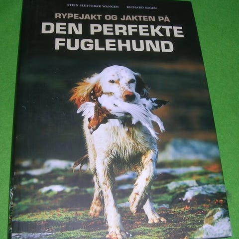 Annonsebilde